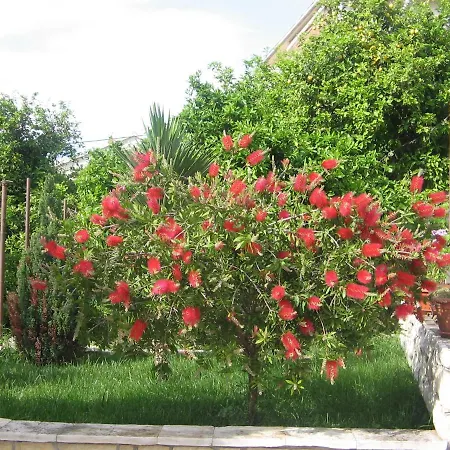 Bareta Okrug Gornji