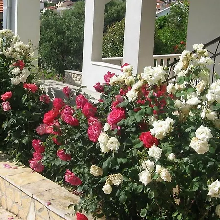 Apartment Bareta Okrug Gornji